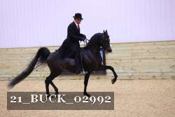 21_BUCK_02992 proof
