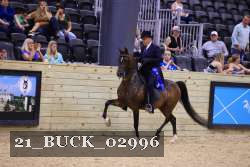 21_BUCK_02996 proof