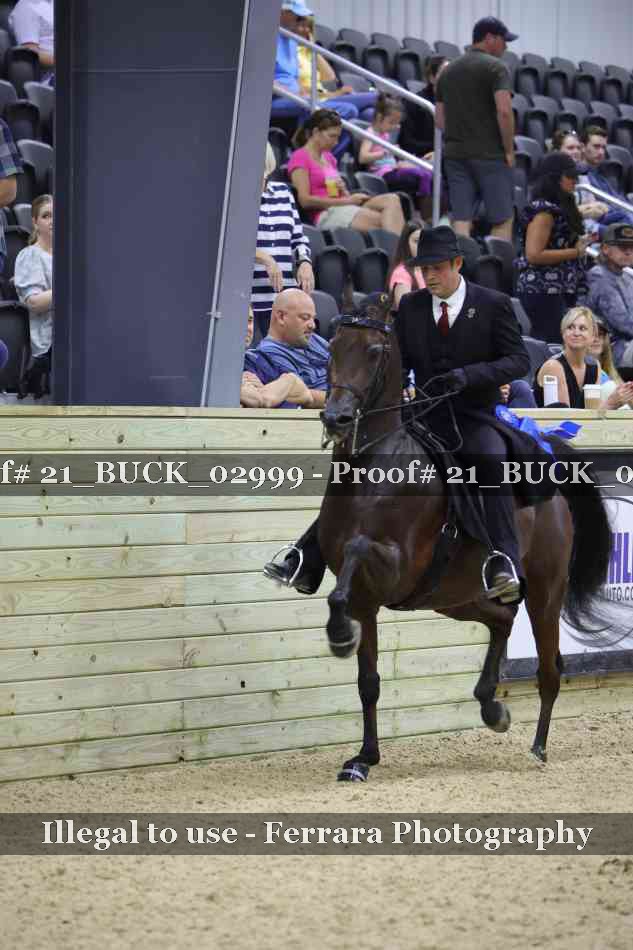 Proof 21_BUCK_02999