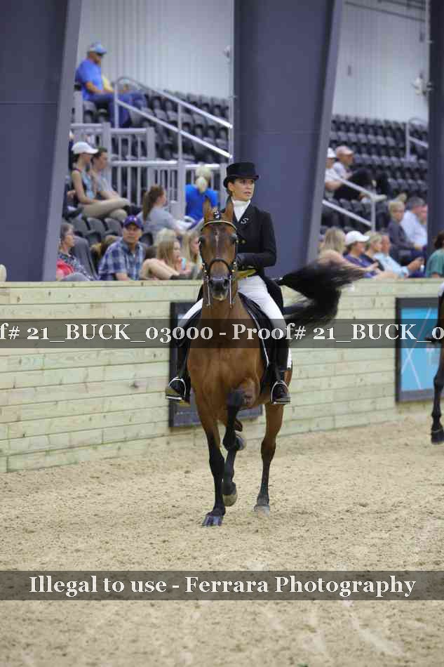 Proof 21_BUCK_03000