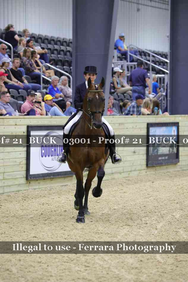 Proof 21_BUCK_03001