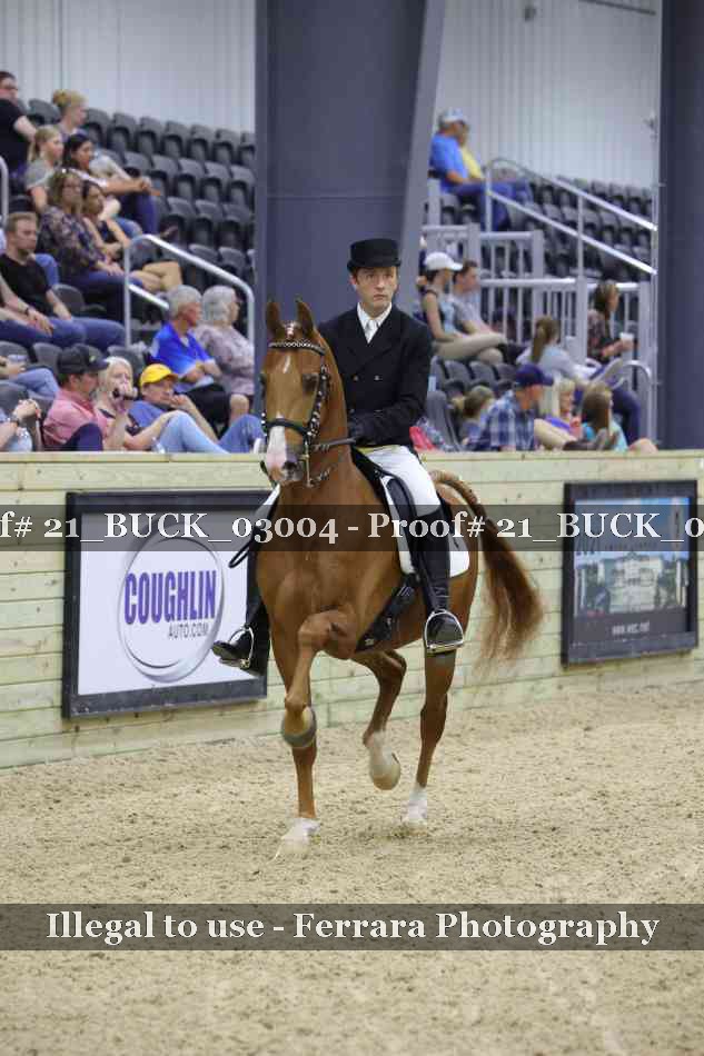 Proof 21_BUCK_03004