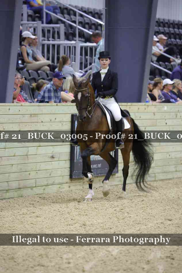 Proof 21_BUCK_03005