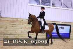 21_BUCK_03009 proof