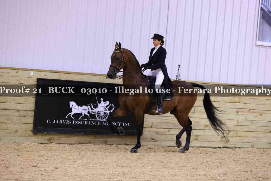 Proof 21_BUCK_03010