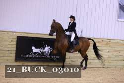 21_BUCK_03010 proof