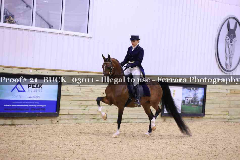 Proof 21_BUCK_03011