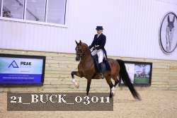 21_BUCK_03011 proof