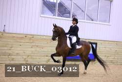 21_BUCK_03012 proof