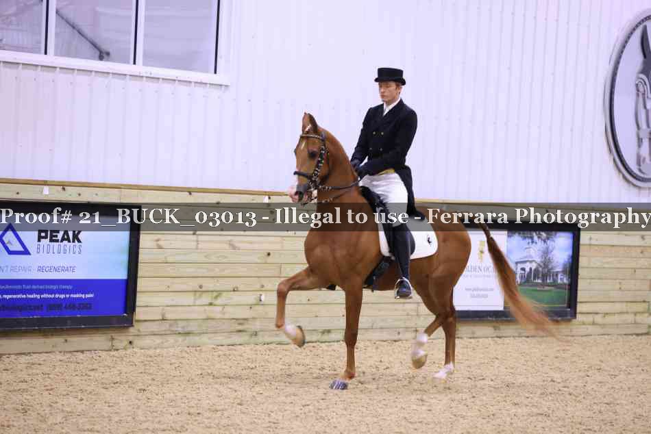 Proof 21_BUCK_03013