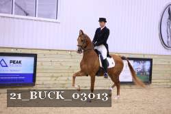 21_BUCK_03013 proof