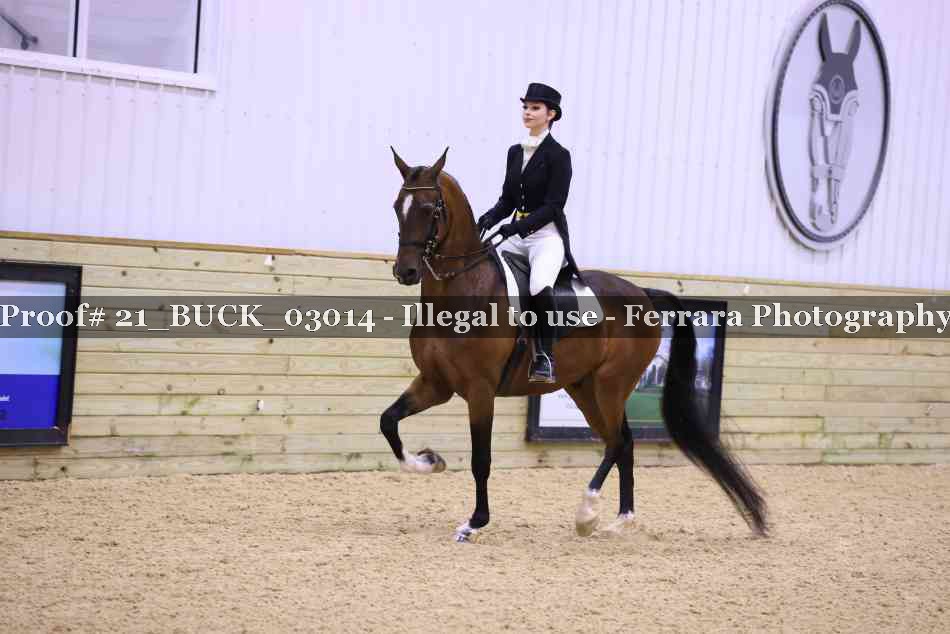 Proof 21_BUCK_03014