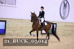 21_BUCK_03014 proof