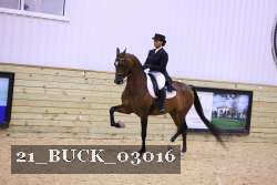 21_BUCK_03016 proof