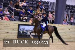 21_BUCK_03025 proof