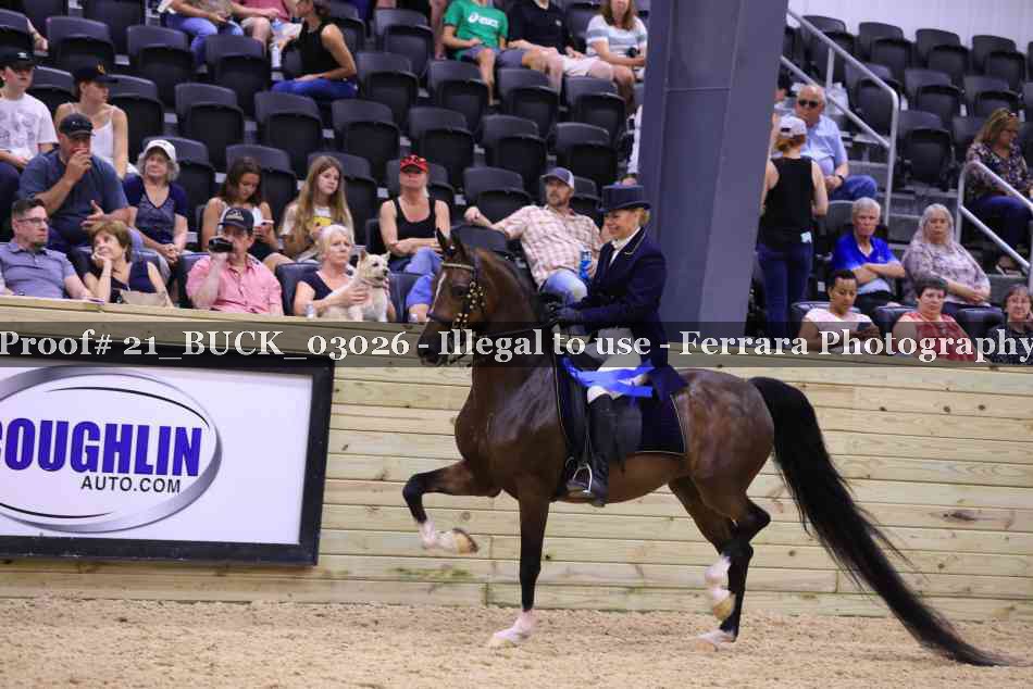Proof 21_BUCK_03026