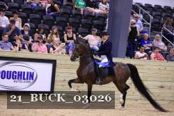 21_BUCK_03026 proof