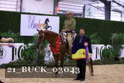 21_BUCK_03043 proof