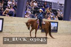 21_BUCK_03045 proof