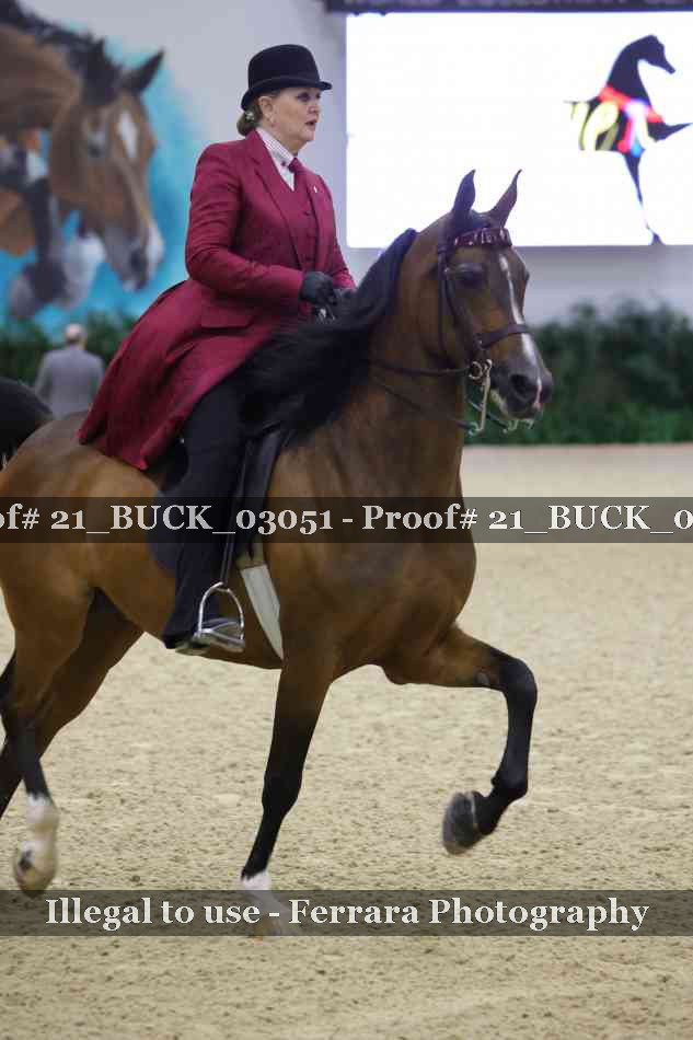 Proof 21_BUCK_03051
