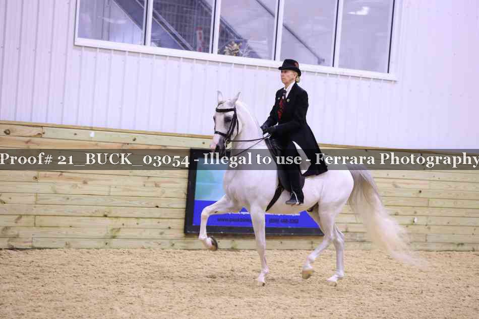 Proof 21_BUCK_03054