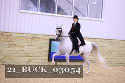 21_BUCK_03054 proof