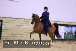 21_BUCK_03055 proof