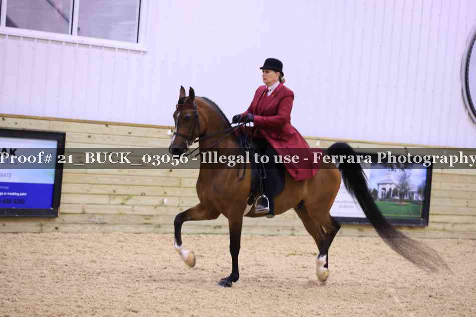 Proof 21_BUCK_03056