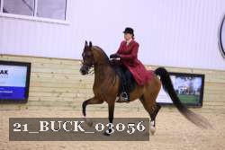 21_BUCK_03056 proof