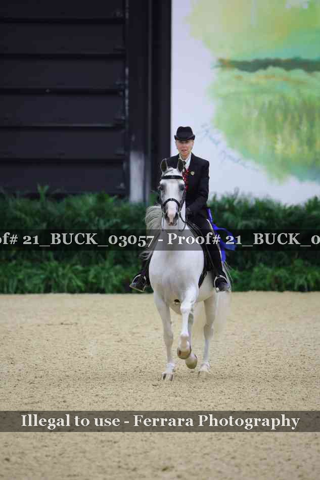 Proof 21_BUCK_03057