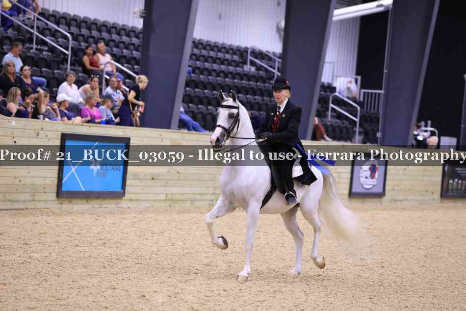 Proof 21_BUCK_03059