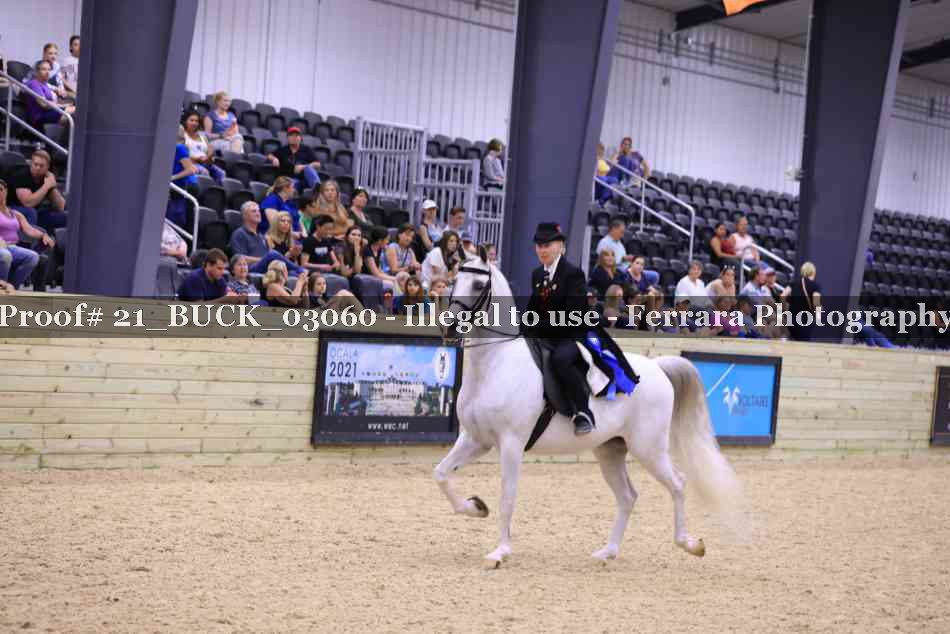 Proof 21_BUCK_03060