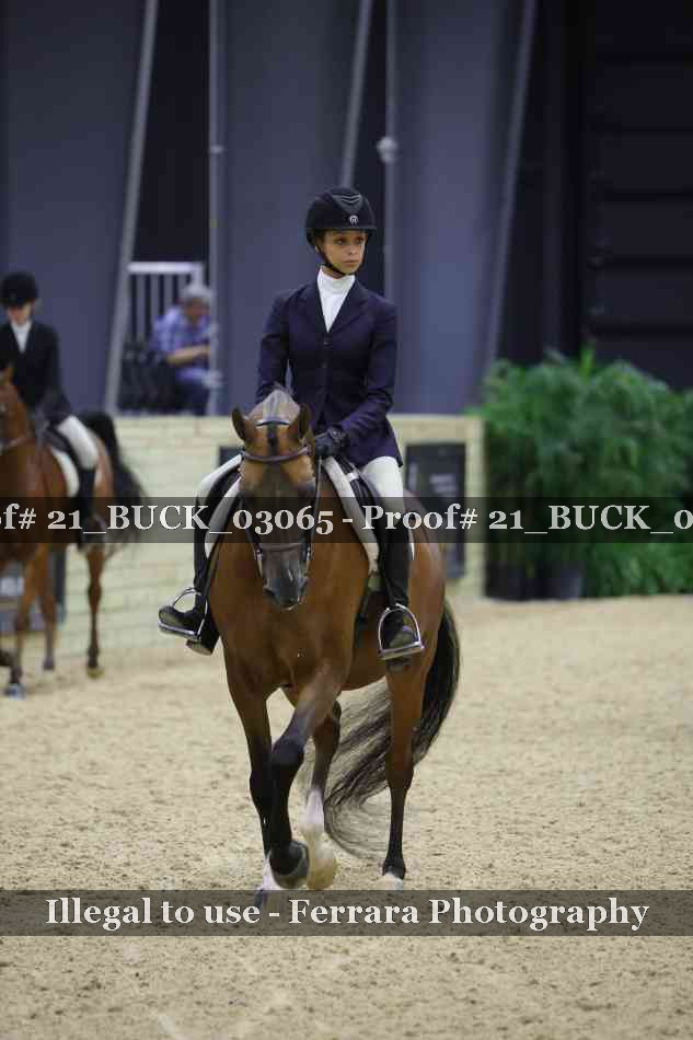 Proof 21_BUCK_03065
