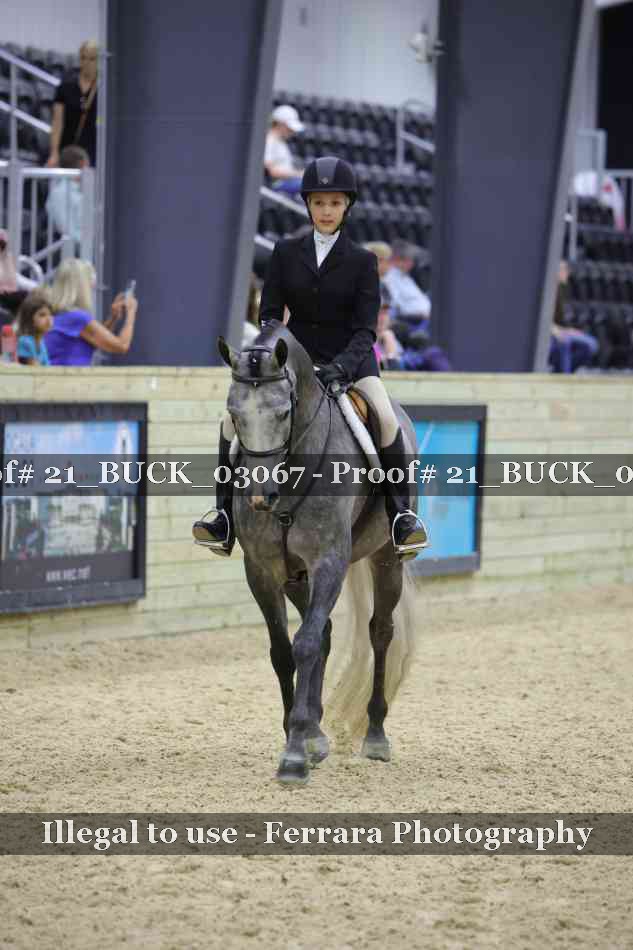 Proof 21_BUCK_03067
