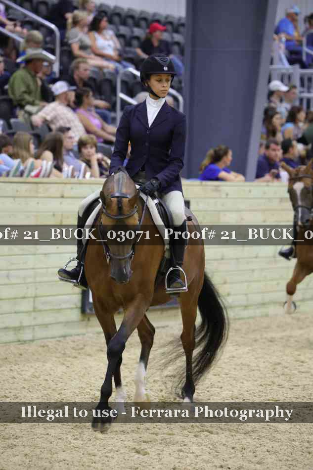 Proof 21_BUCK_03071