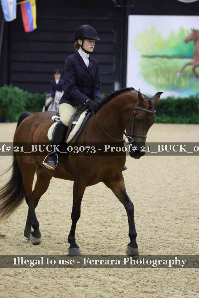 Proof 21_BUCK_03073
