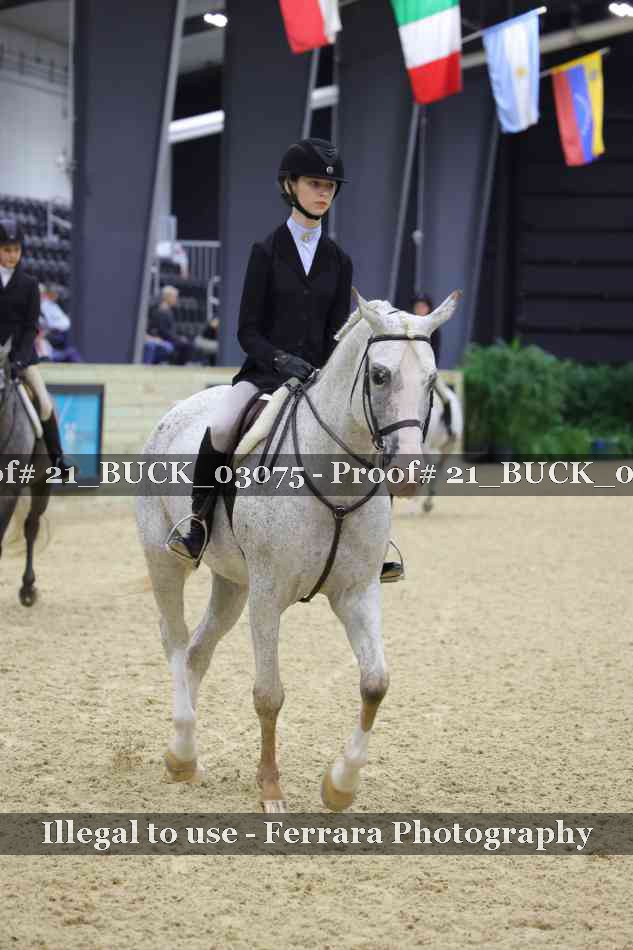 Proof 21_BUCK_03075