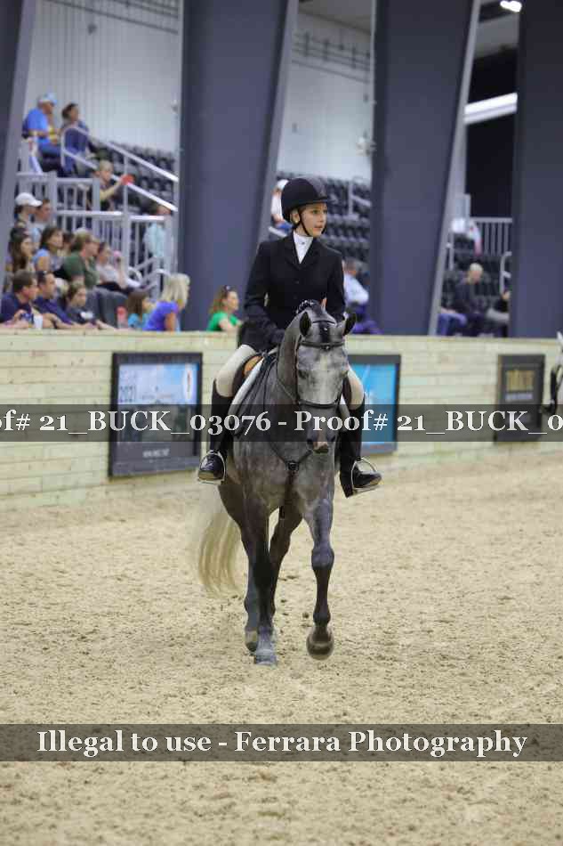 Proof 21_BUCK_03076