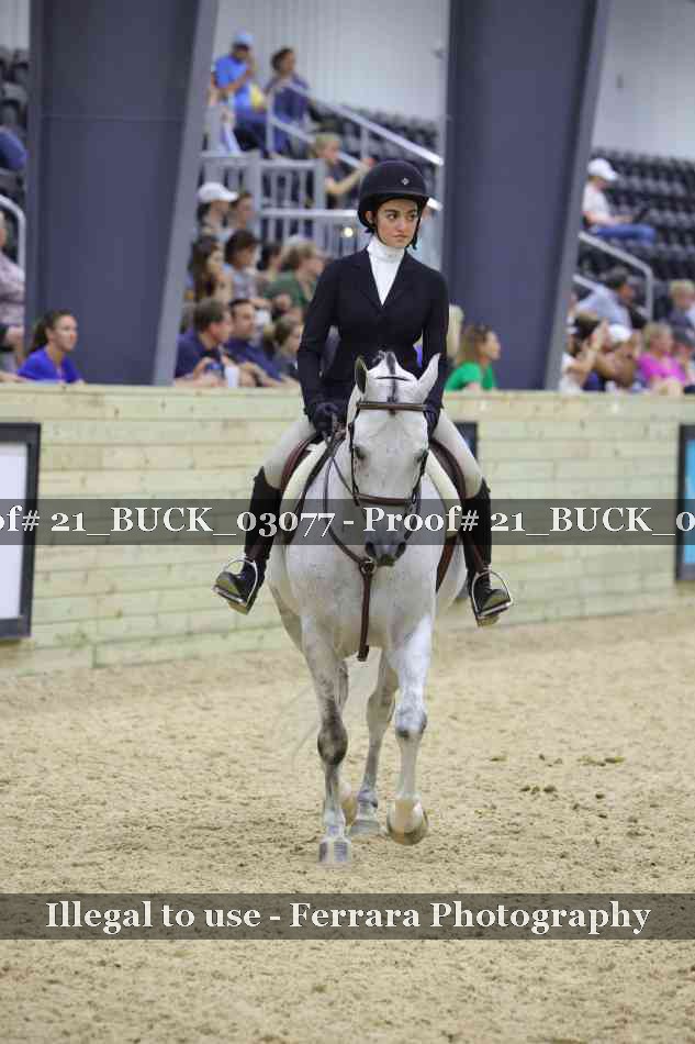 Proof 21_BUCK_03077