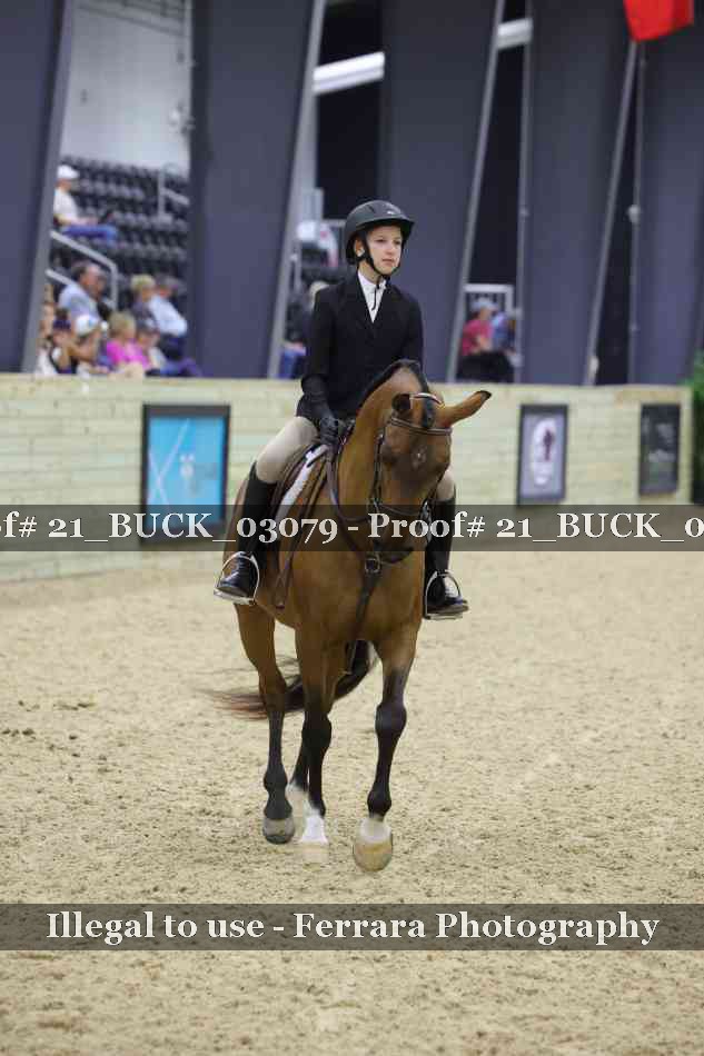 Proof 21_BUCK_03079