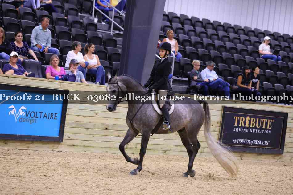 Proof 21_BUCK_03082
