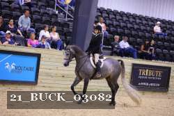 21_BUCK_03082 proof