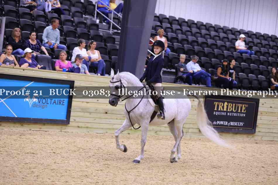 Proof 21_BUCK_03083