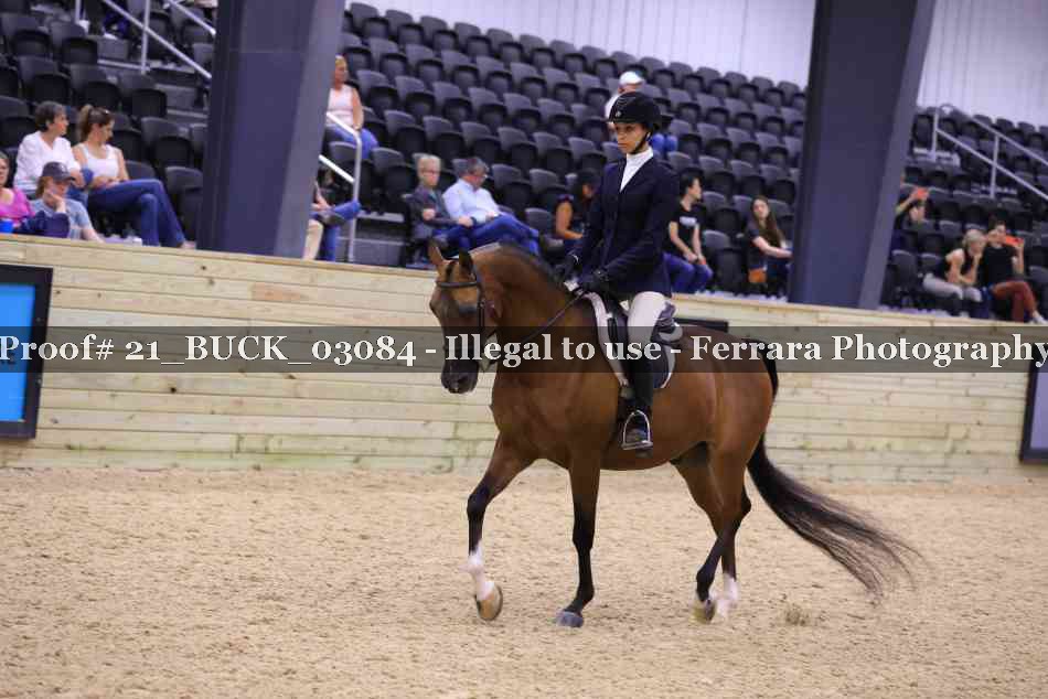 Proof 21_BUCK_03084