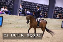 21_BUCK_03084 proof
