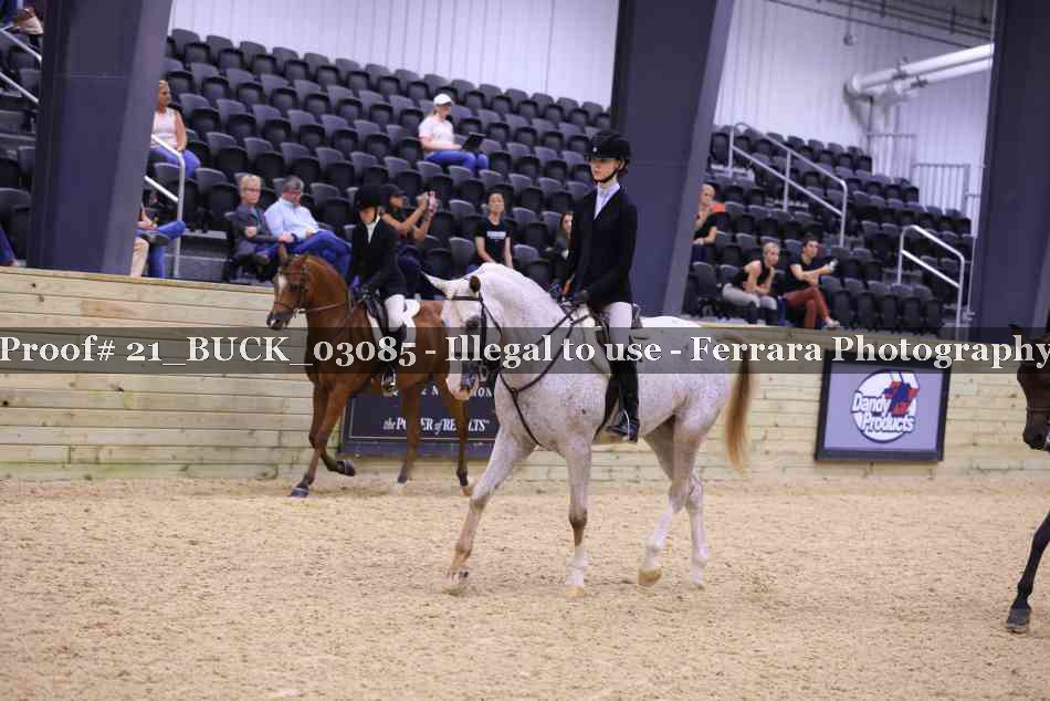 Proof 21_BUCK_03085