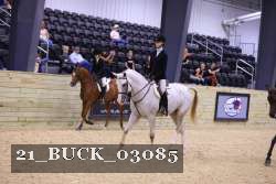 21_BUCK_03085 proof