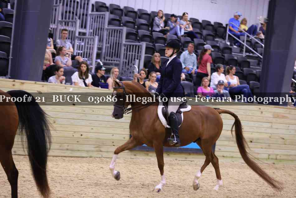 Proof 21_BUCK_03086