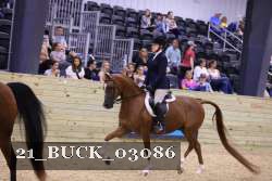 21_BUCK_03086 proof