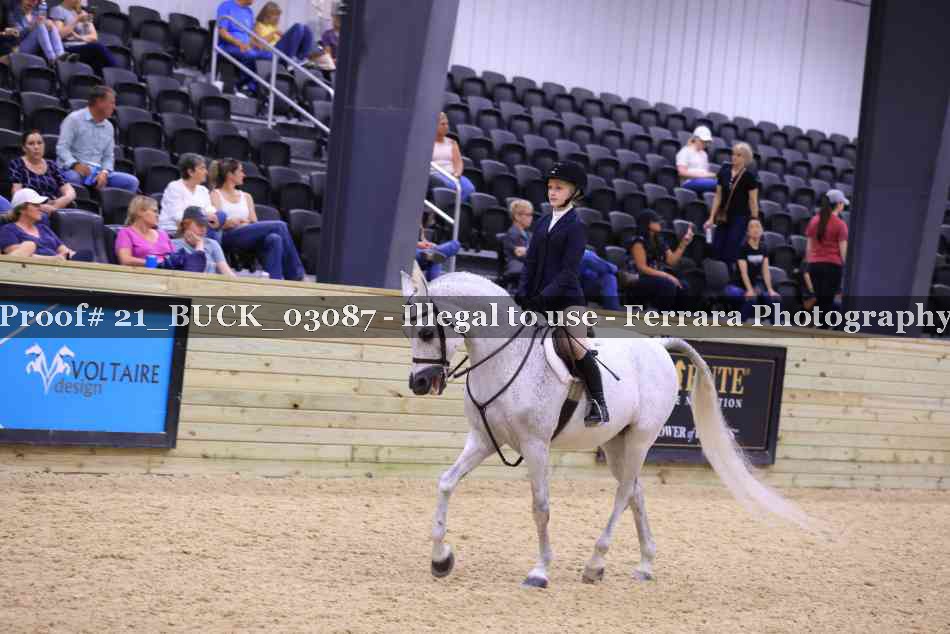 Proof 21_BUCK_03087